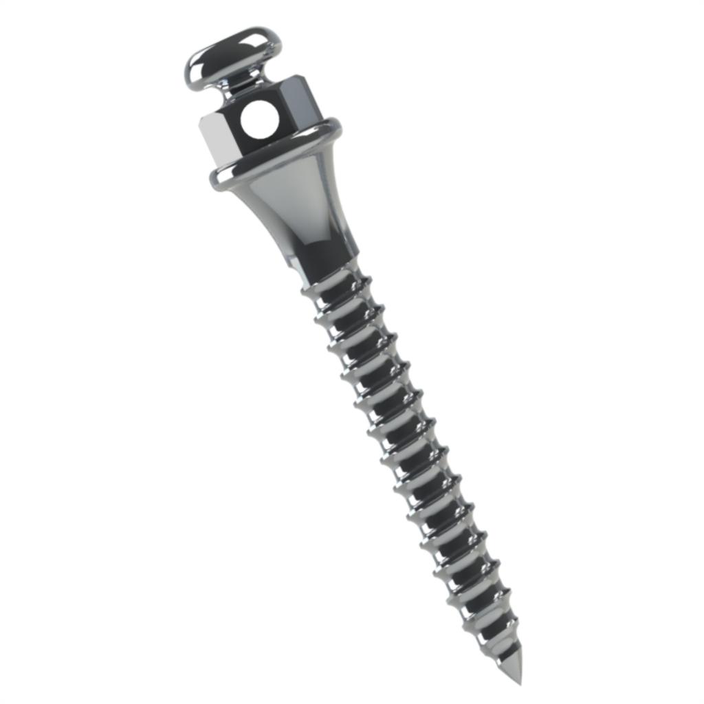 ORTHODONTIC MINI SCREW LENG 10MM TRANSM 2MM 1.5MM  PAK/2UN MORELLI_1