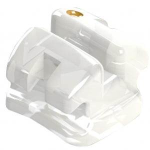 BRACKET PRESCRIPTION ROTH CERAMIC 0.22 PAK/5UN MORELLI 12_1