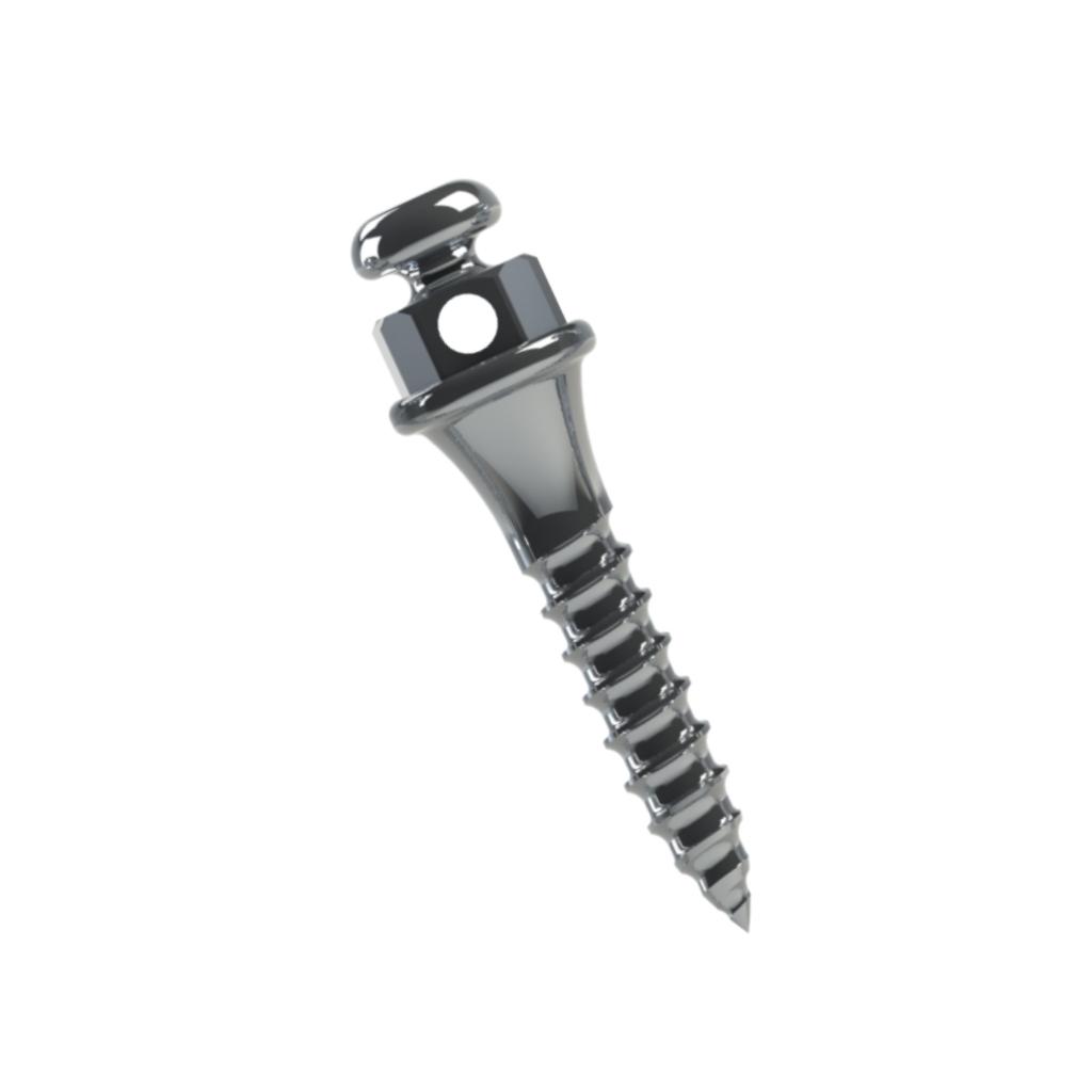 Orthodontic Mini Screw (Leng.: 6mm - Transm.: 2mm - Ø1.5mm) - Dentaico