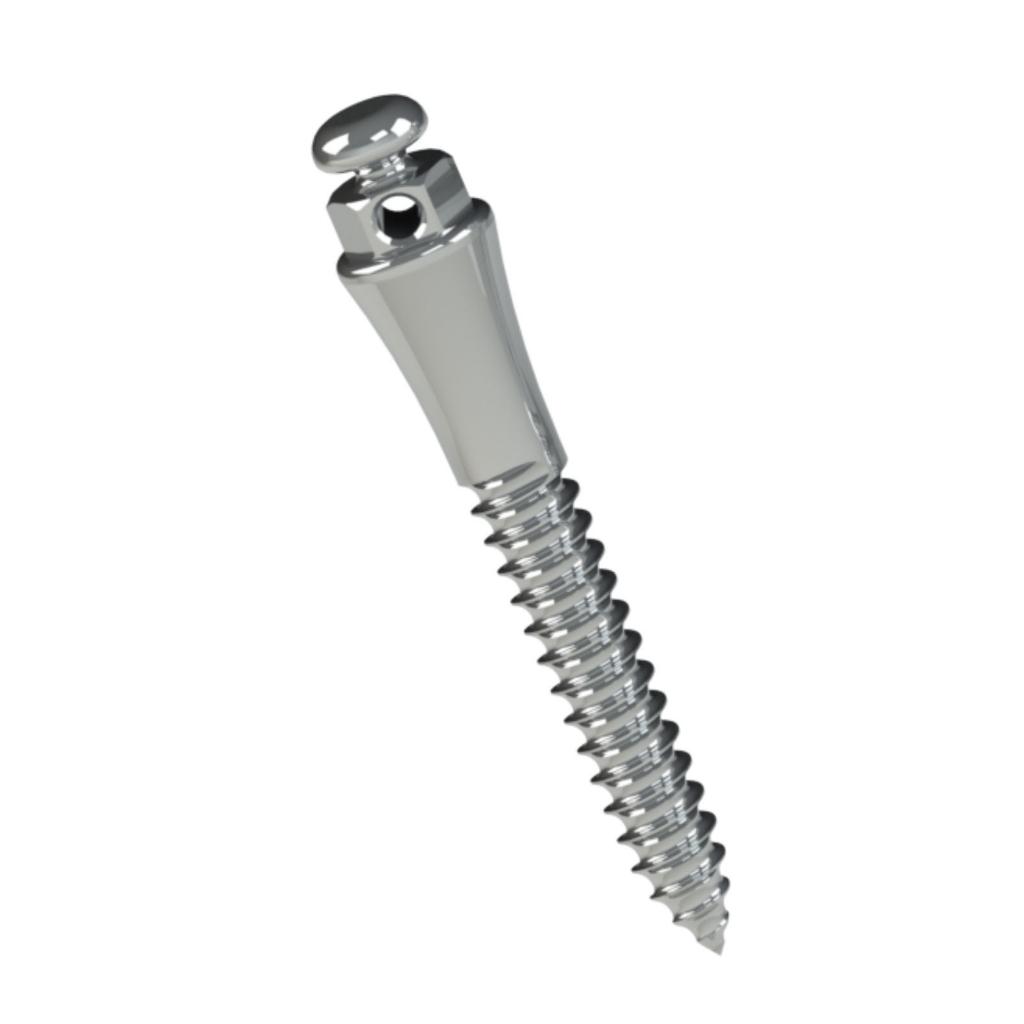 EXTRARRADICULAR ORTHODONTIC STEEL MINI SCREW LENG.: 10MM TRANSM.: 4MM Ø2MM PAK/1UN MORELLI_1