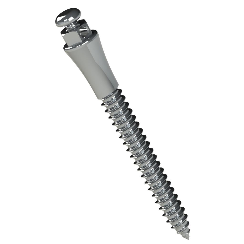 EXTRARRADICULAR ORTHODONTIC STEEL MINI SCREW LENG.: 14MM TRANSM.: 4MM Ø2MM PAK/1 UN MORELLI_1