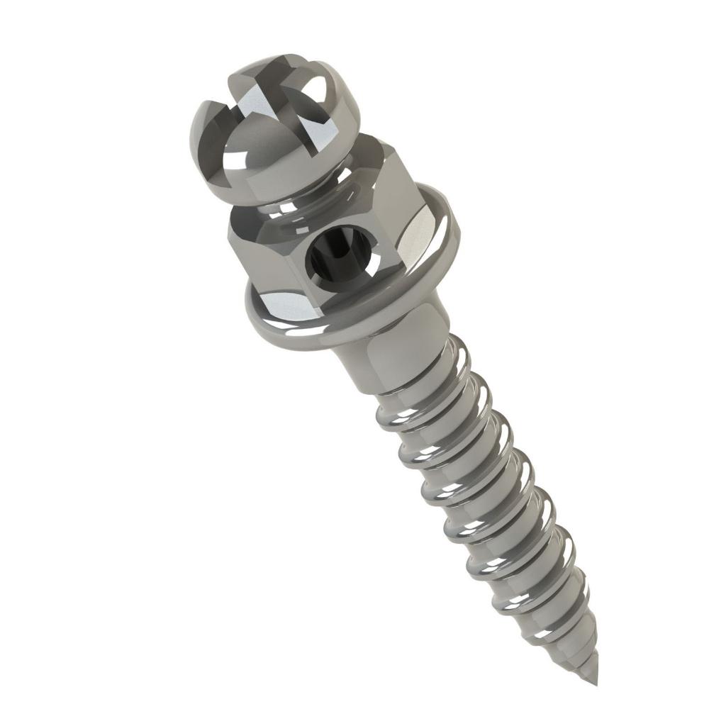 ORTHODONTIC MINI SCREW WITH BRACKET HEAD CLOCKWISE LENG.: 6MM TRANSM.: 1MM Ø1.5MMPAK/1UN MORELLI_1