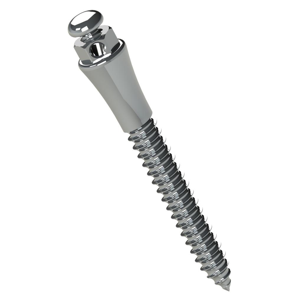 EXTRARRADICULAR ORTHODONTIC STEEL MINI SCREW LENG 12MM TRANSM 4MM Ø2MM PAK/1 UN MORELLI_1