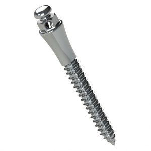 EXTRARRADICULAR ORTHODONTIC STEEL MINI SCREW LENG 12MM TRANSM 4MM Ø2MM PAK/1 UN MORELLI_1